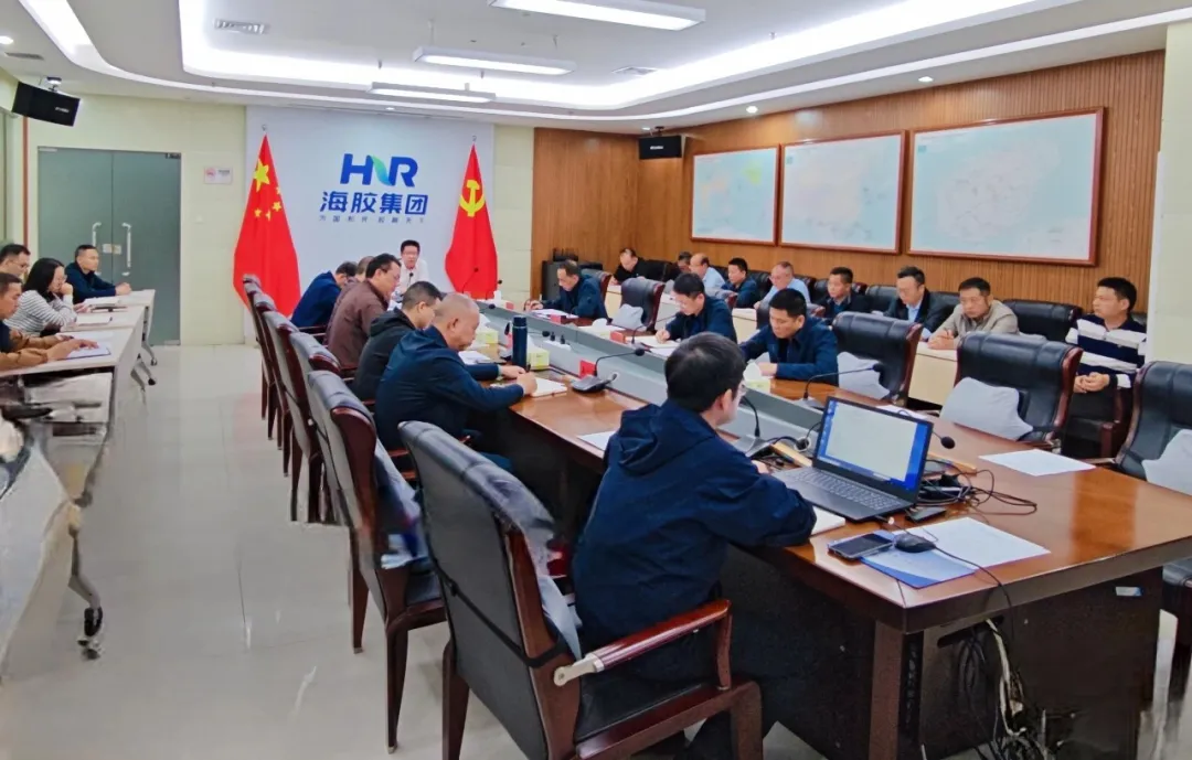 海南橡膠召開(kāi)加工板塊2026年第一季度HSE聯(lián)席會(huì)議